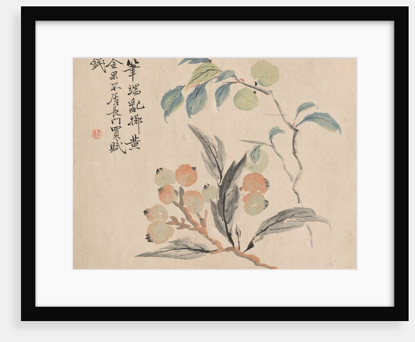 Loquat Tree of Japan by Tsubaki Chinzan