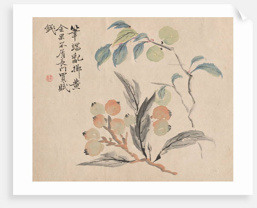 Loquat Tree of Japan by Tsubaki Chinzan