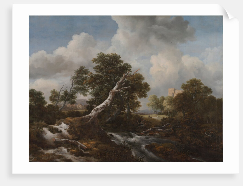 Low Waterfall in a Wooded Landscape with a Dead Beech Tree, c. 1660-1670 by Jacob van Ruisdael