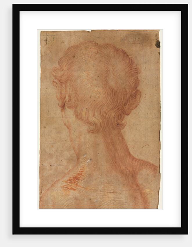 Man's Head from the Back by Unknown