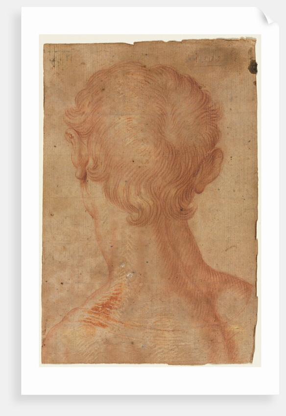 Man's Head from the Back by Unknown