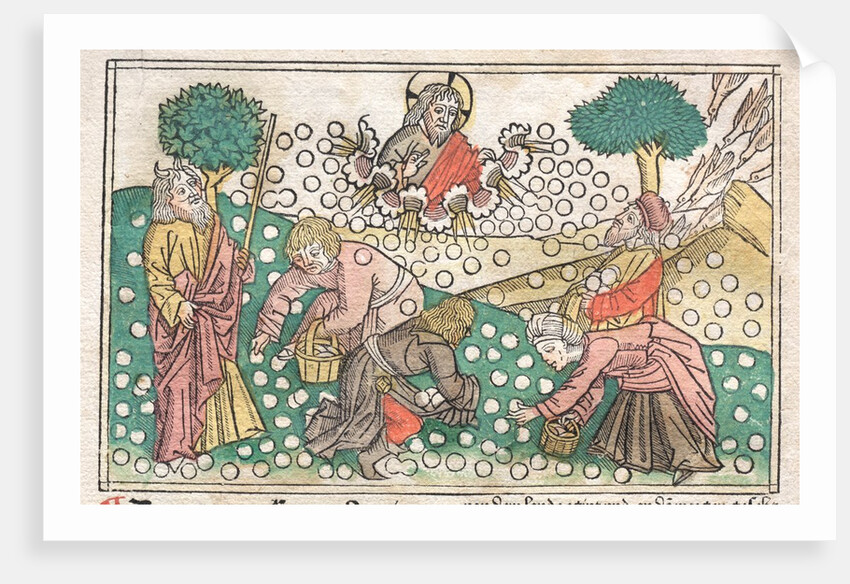 Nüremberg Bible: Manna Falling from Heaven, 1400s by Unknown