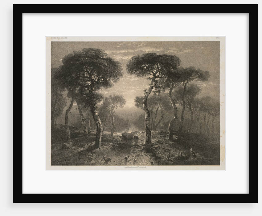 Oeuvres de A. Calame, No. 13: Forêt de Sierre en Valais, 1843 by Alexandre Calame; F. Delarue