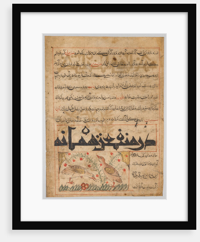 On the Benefits of Quails from a Manafi al-Hayawan…, c. 1300 by Unknown