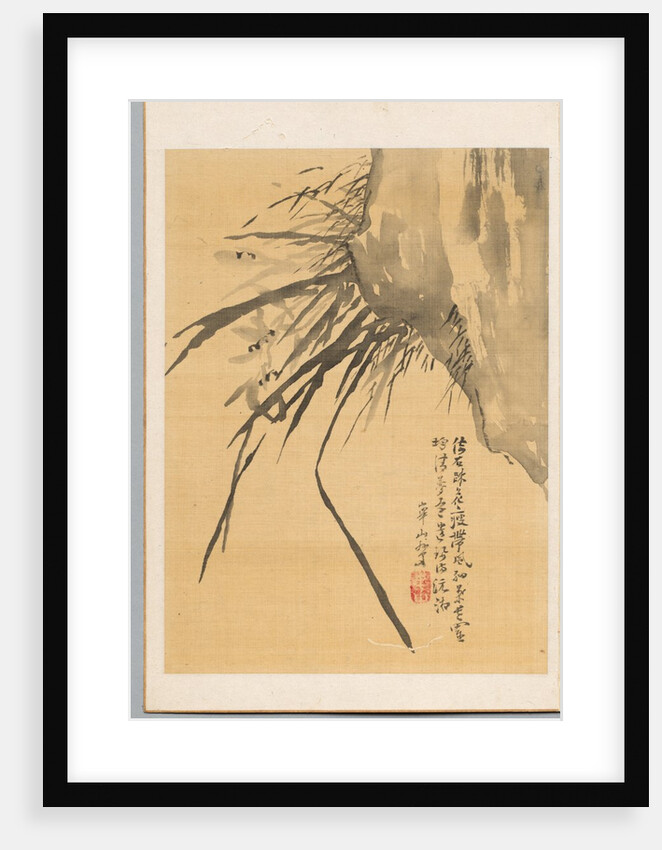 Orchid, 19th century by Watanabe Kazan
