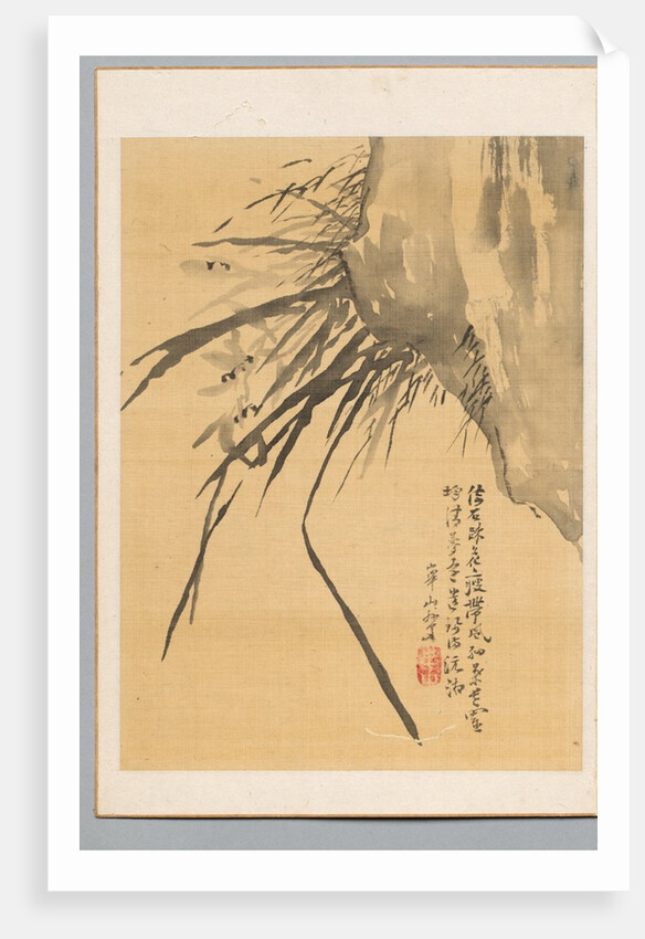 Orchid, 19th century by Watanabe Kazan