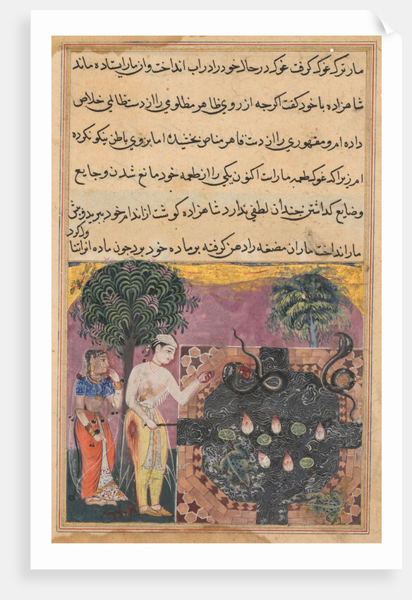 Page from Tales of a Parrot: Eighteenth night: The prince?, c. 1560 by Unknown