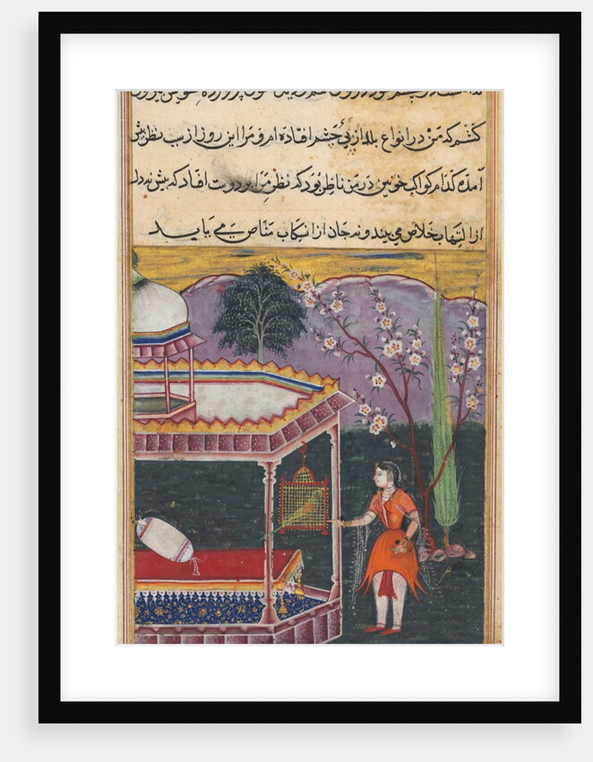 Page from Tales of a Parrot: Eighth night: The parrot addresses Khujasta…, 1558-1560 by Unknown