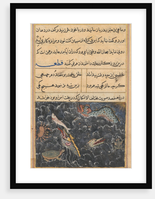 Page from Tales of a Parrot: Eleventh night: The creatures of the sea?, c. 1560 by Unknown
