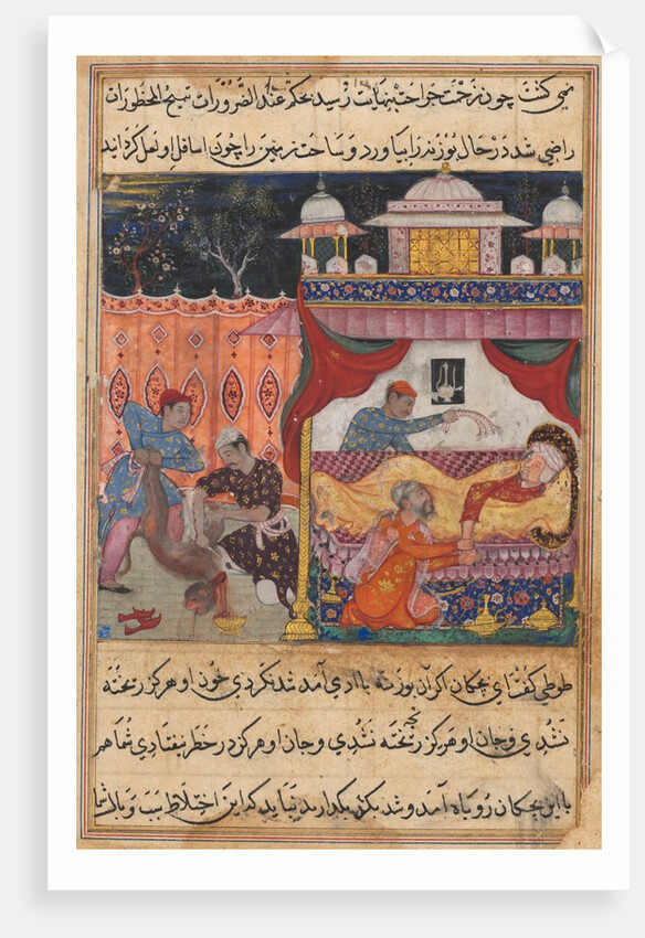 Page from Tales of a Parrot: Fifth night: The monkey slain, his blood…, c. 1560 by Unknown