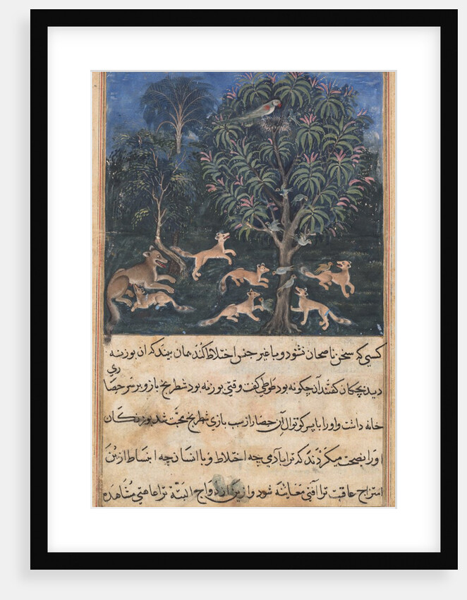 Page from Tales of a Parrot: Fifth night: The parrot mother cautions…, c. 1560 by Daswanth
