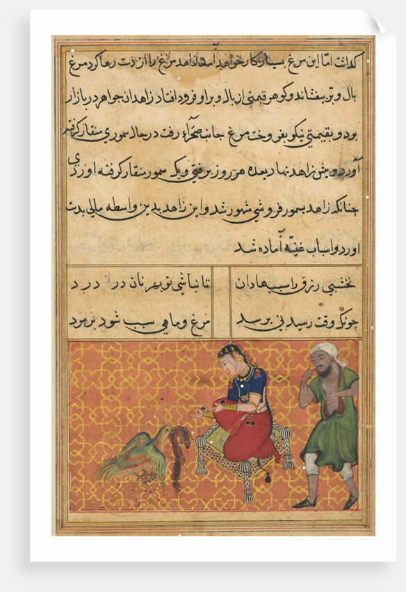 Page from Tales of a Parrot: Fifty-second night: The bird of seven colours?, c. 1560 by Unknown