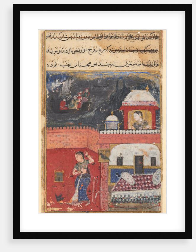 Page from Tales of a Parrot: First night: Khujasta kills the pet myna…, c. 1560 by Unknown