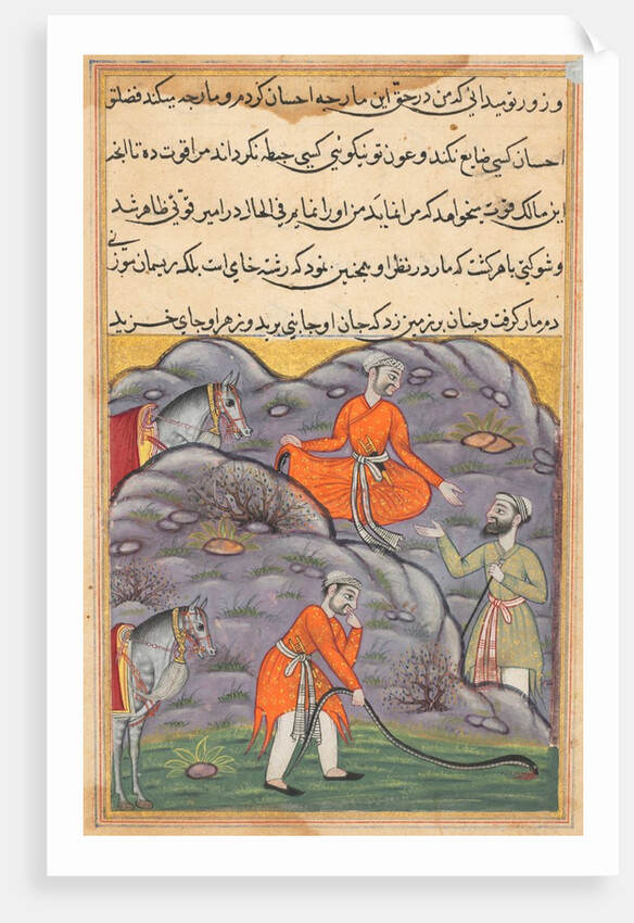 Page from Tales of a Parrot: Forty-fifth night: The Amir slays the snake…, c. 1560 by Unknown