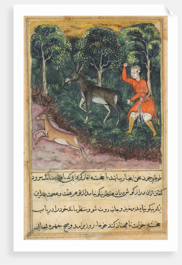 Page from Tales of a Parrot: Forty-first night: The gardener seizes…, c. 1560 by Unknown