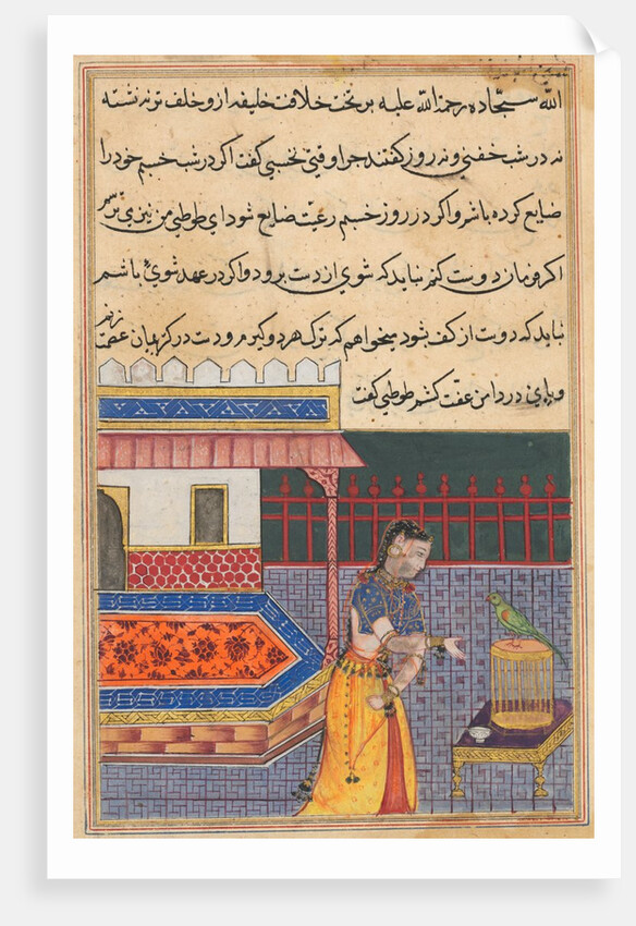 Page from Tales of a Parrot: Forty-first night: The parrot addresses Khujasta…, c. 156 by Unknown