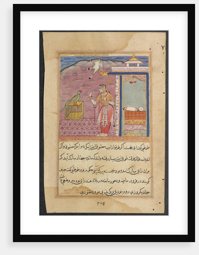 Page from Tales of a Parrot: Forty-fourth night: The parrot addresses…, c. 1560 by Unknown