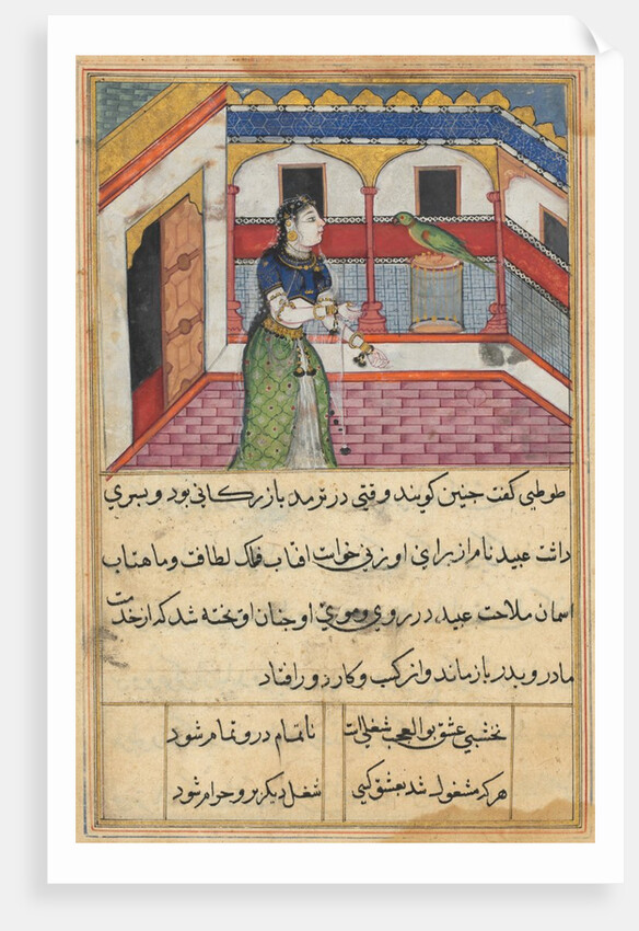 Page from Tales of a Parrot: Forty-second night: The parrot addresses…, c. 1560 by Unknown
