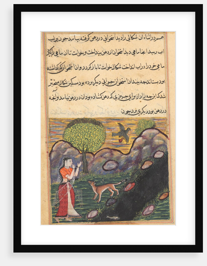 Page from Tales of a Parrot: Sixteenth night: The daughter-in-law…, c. 1560 by Unknown