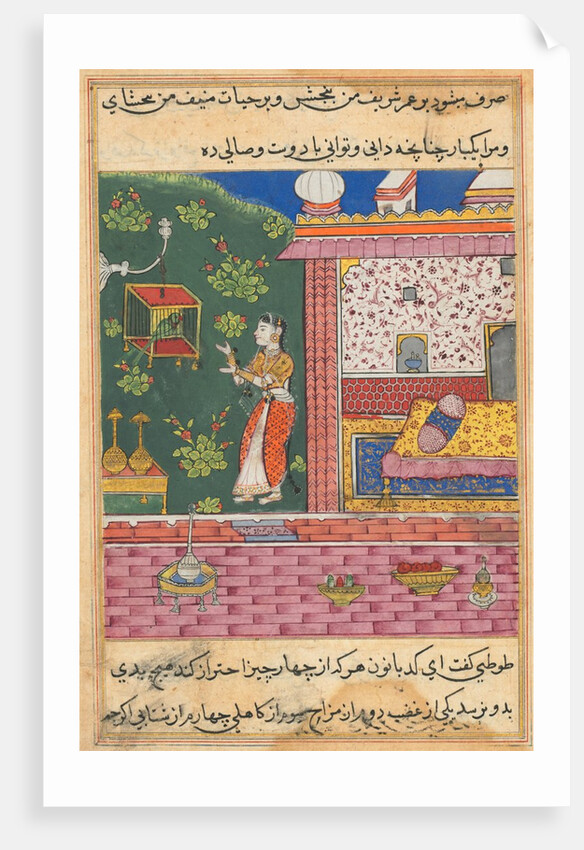 Page from Tales of a Parrot: Thirtieth night: The parrot addresses Khujasta…, c. 1560 by Unknown