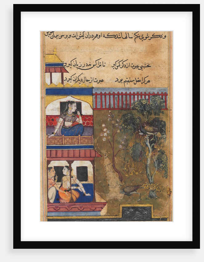 Page from Tales of a Parrot: Thirty-ninth night: The queen of Rum…, c. 1560 by Unknown