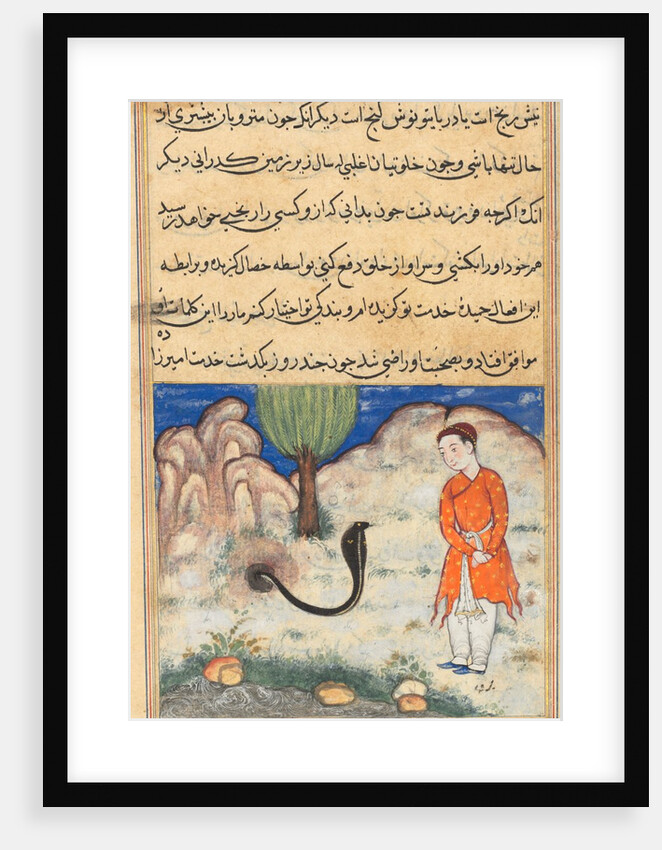 Page from Tales of a Parrot: Thirty-seventh night: The prince…, c. 1560 by Unknown