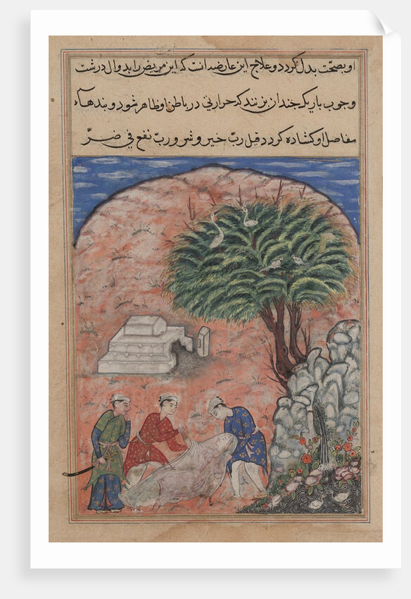 Page from Tales of a Parrot: Twentieth night: The suitors take…, c. 1560 by Unknown