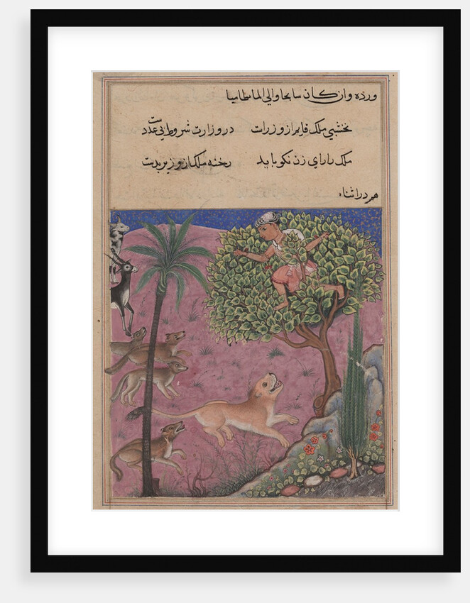 Page from Tales of a Parrot: Twenty-first night: The wolf and the jackal…, c. 1560 by Unknown