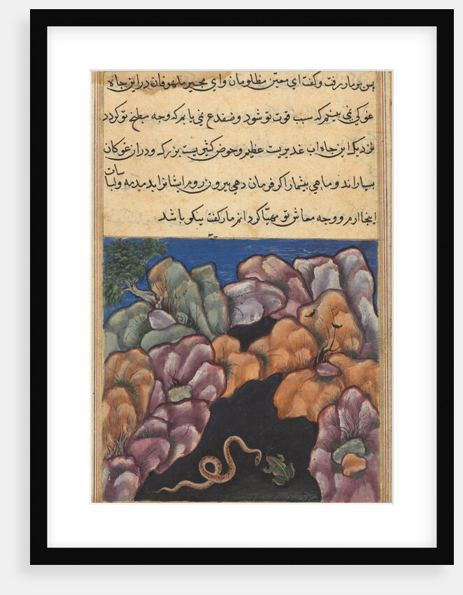 Page from Tales of a Parrot: Twenty-sixth night: The snake enters…, c. 1560 by Unknown