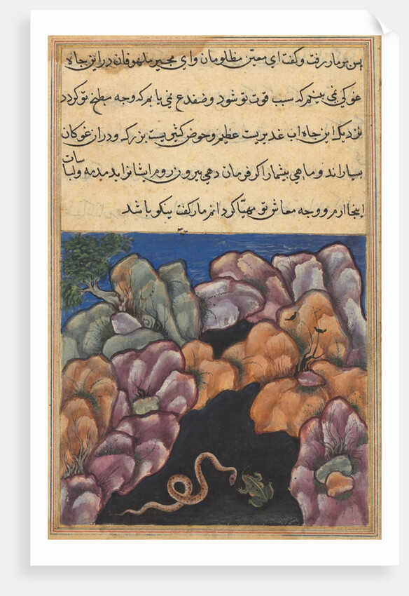 Page from Tales of a Parrot: Twenty-sixth night: The snake enters…, c. 1560 by Unknown