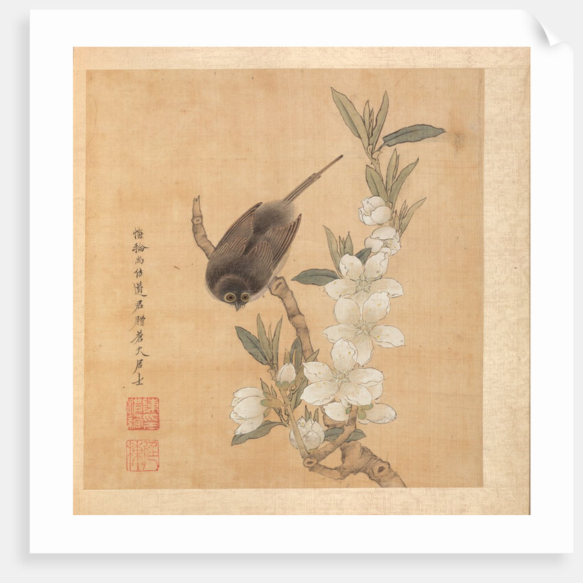 Paintings after Ancient Masters: A Bird and Peach-Blossom Branch, 1598-1652 by Chen Hongshou