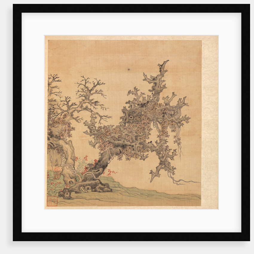 Paintings after Ancient Masters: An Ancient Tree, 1598-1652 by Chen Hongshou