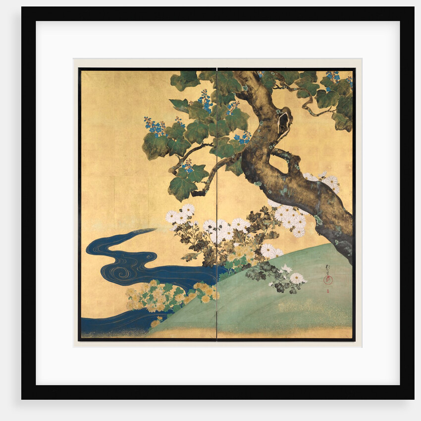 Paulownias and Chrysanthemums, late 1700s-early 1800s by Sakai Hoitsu