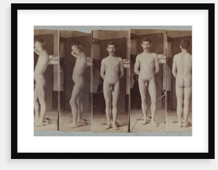 Photographs of a Standing Male Nude Model, c. 1883 by Thomas Eakins (circle of)