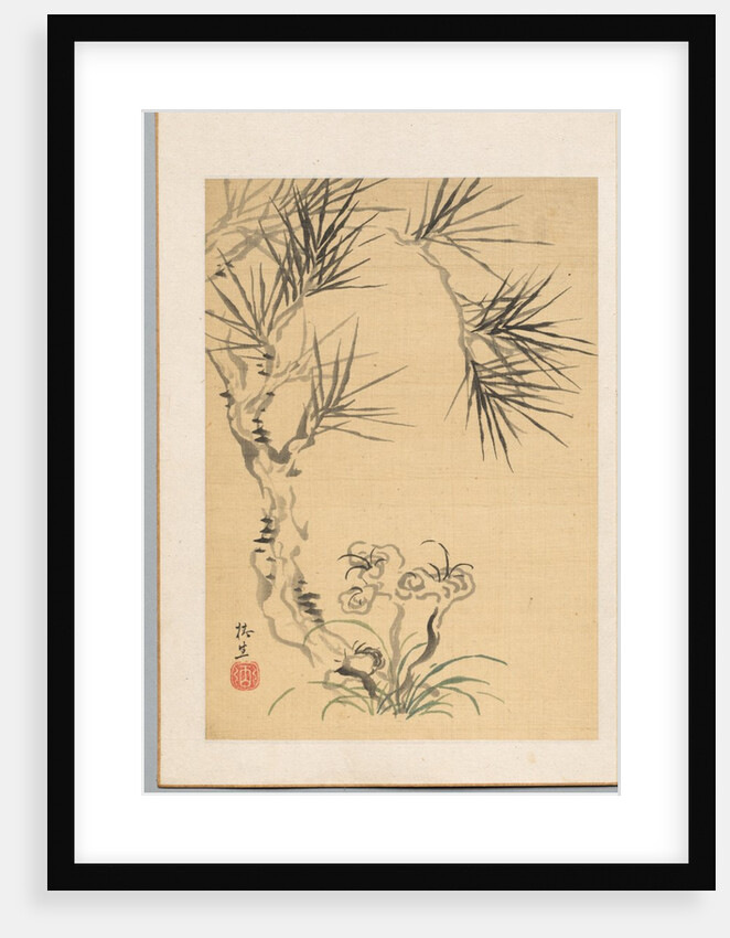 Pine Tree and Fungus, 19th century by Tsubaki Chinzan