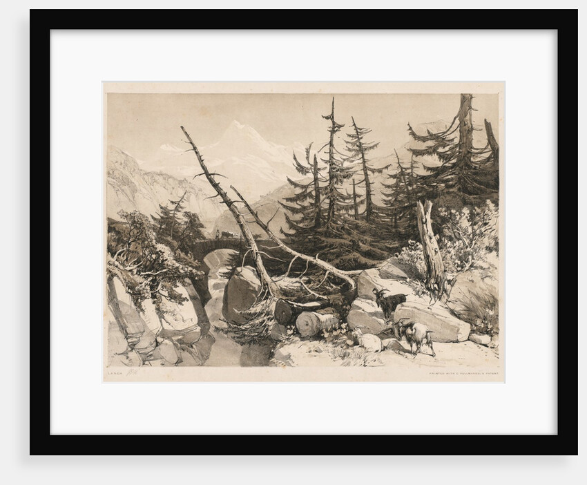 Pine Trees and Bridge, 1841 by James Duffield Harding