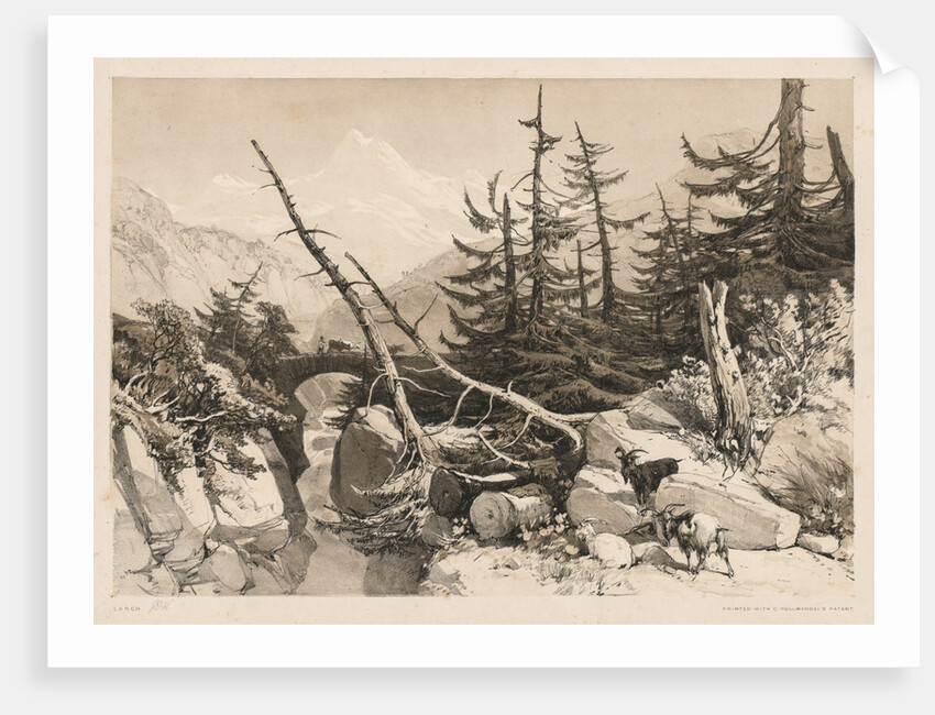 Pine Trees and Bridge, 1841 by James Duffield Harding