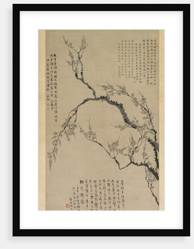 Plum Blossoms, 1747 by Wang Shishen