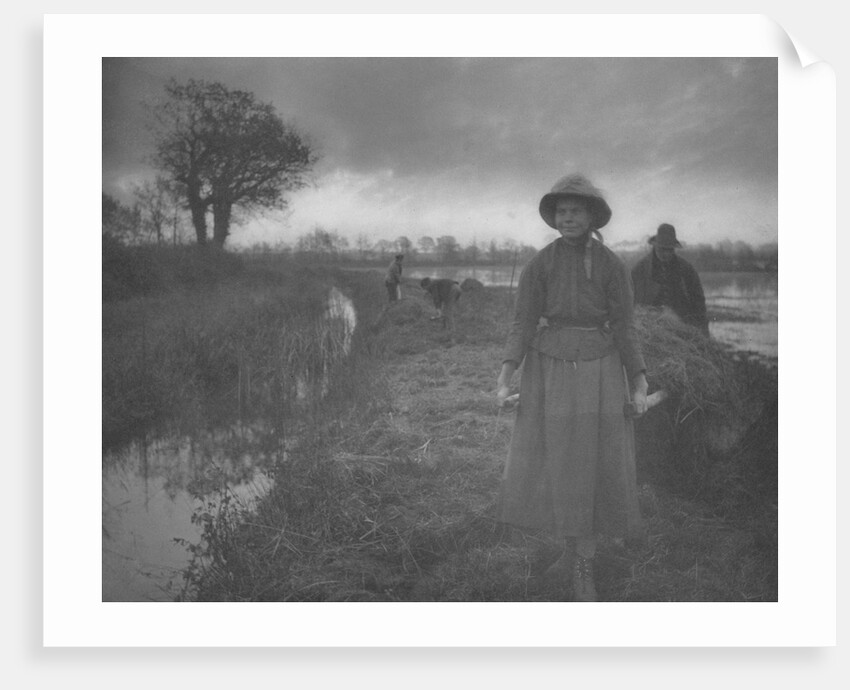 Poling the Marsh Hay, 1886 by Peter Henry Emerson; Sampson Low