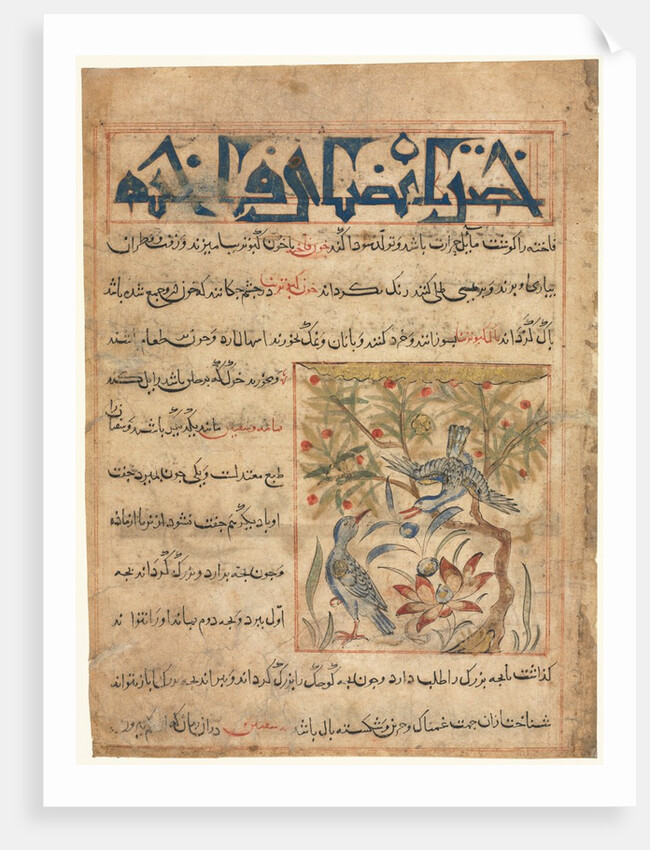 Qualities of Ringdoves from a Manafi al-Hayawan?, c. 1300 by Unknown