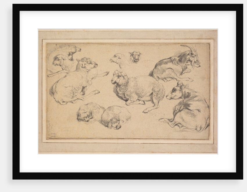 Sheet of Studies with Sheep, Goats, and Dogs, c. 1780 by Jean-Baptiste Marie Hüet
