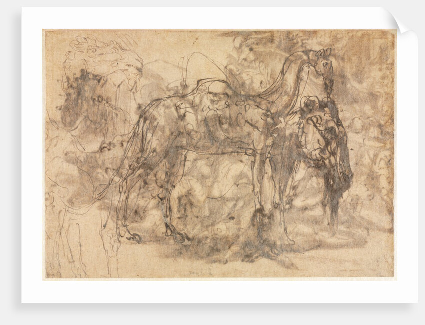 Sketches of Animals, c. 1545/47 by Perino del Vaga