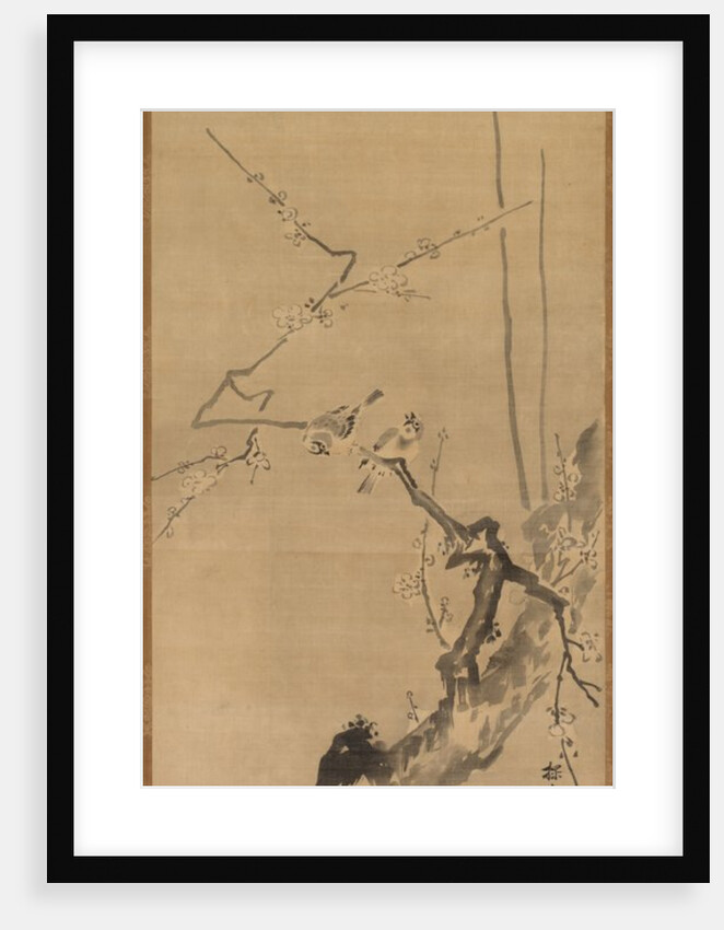 Sparrows on Blossoming Plum, 17th century by Kano Tan?y? (attributed to)