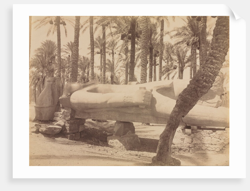 Statue of Ramesses at Saqqara, c. 1870s - 1880s by Antonio Beato