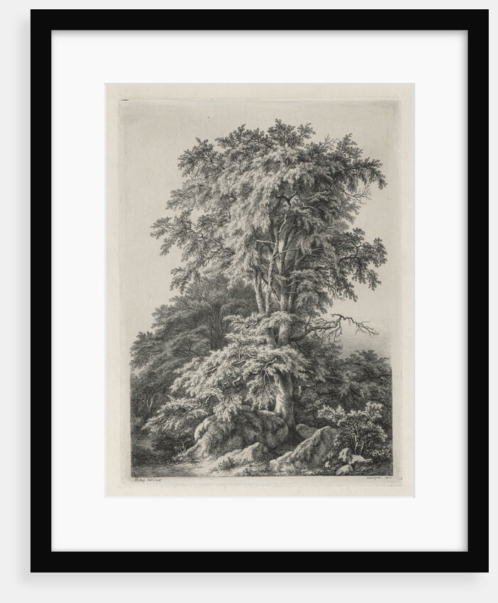 Studies Drawn and Engraved after Nature: The Beach, Fontainbleau…, 1840 by Eugene Bléry