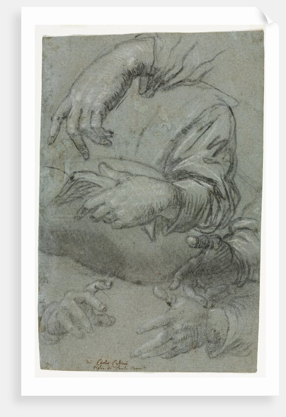 Studies of Hands; Sketch of a Child's Head, c. 1586 by Carletto Caliari