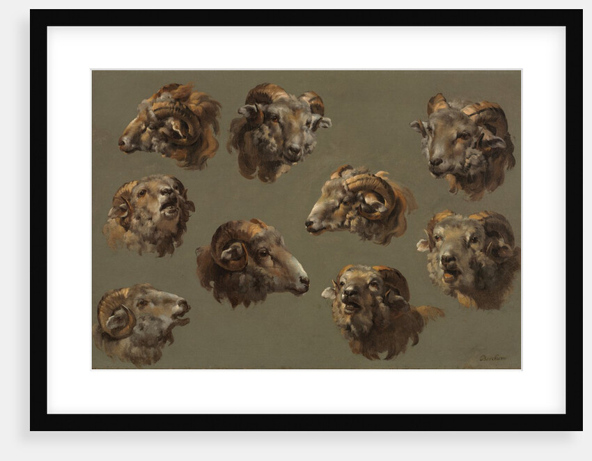 Studies of Ram Heads, 1700s by Unknown