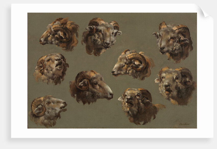 Studies of Ram Heads, 1700s by Unknown