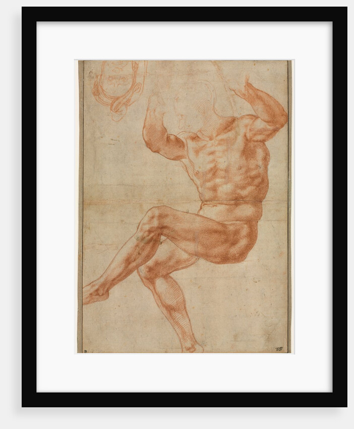 Study for the Nude Youth over the Prophet Daniel, 1510-11 by Michelangelo Buonarroti