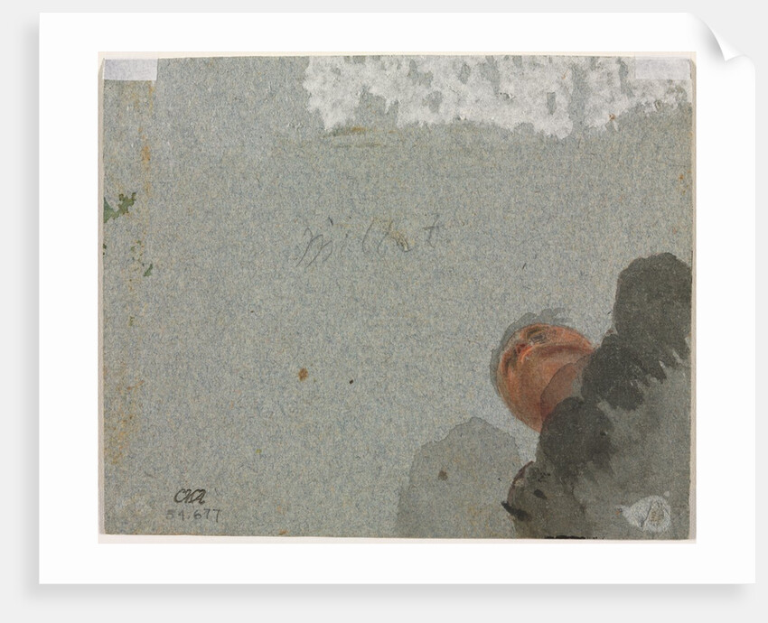 Study of a Head seen from Below, third quarter 1600s by Francisque Millet (attributed to)